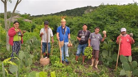 Group Banner Picture